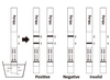 Hình ảnh của Test nhanh chẩn đoán viêm gan B (HBsAg) dạng que, Biorex (TZ)