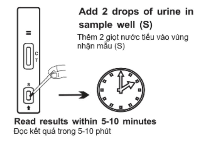 Hình ảnh của Test nhanh chẩn đoán thử thai dạng khay, Biorex (OC)
